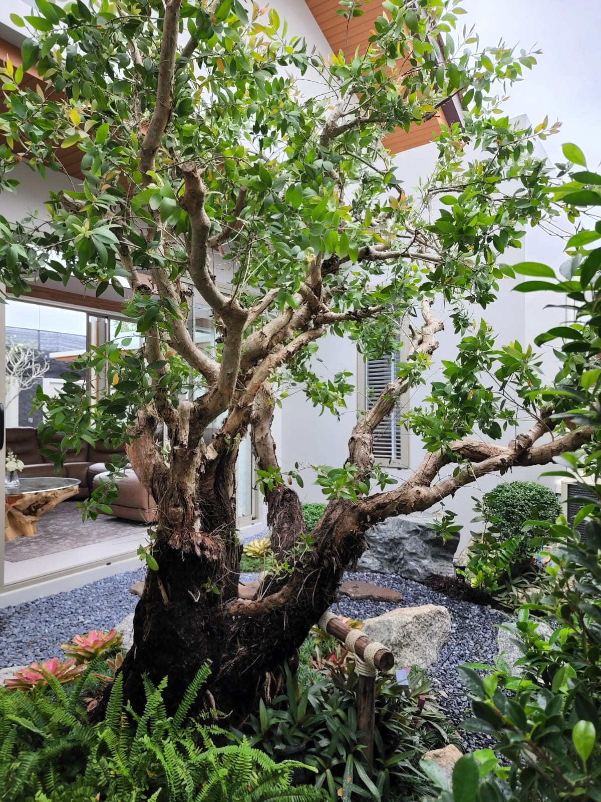 Wilawan Luxury Villas 75